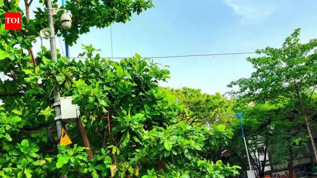 डेक्कन, कर्वे रोड आणि गणेशखिंड रोडवर उद्या वाहनांची ये-जा बंद, या भागातील शाळाही बंद