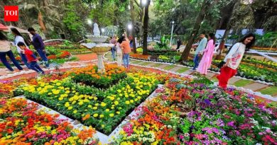 एअर प्लांट्सपासून ते ‘किचन इकेबाना’ पर्यंत, एम्प्रेस गार्डन फ्लॉवर शोने गर्दी खेचली | पुणे बातम्या