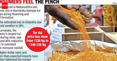 राज्यात तूर पिकाला थंडीचा फटका; कमी पुरवठ्यात किंमत वाढते | पुणे बातम्या