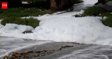 प्रक्रिया न केलेल्या सांडपाण्यामुळे मुळा-मुठा नद्यांमध्ये मोठ्या प्रमाणात फेस येत असल्याने एमपीसीबीने पीएमसीला नोटीस बजावली | पुणे बातम्या