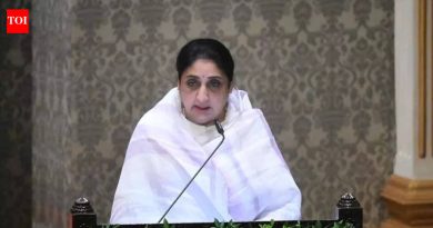 सुनेत्रा पवार यांच्या उपमुख्यमंत्रीपदी बढतीवर संमिश्र प्रतिक्रिया उमटल्या, नेटिझन्सचे म्हणणे ‘लवकरच’ हलवा | पुणे बातम्या