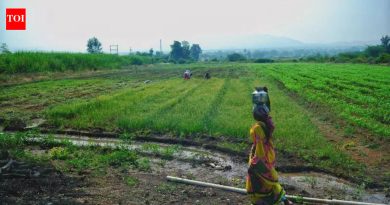 पुरंदर विमानतळ भूसंपादनासाठी निधीचा प्रस्ताव एमआयडीसी पुढील मंत्रिमंडळ बैठकीपूर्वी सादर करणार : फडणवीस