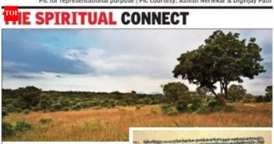 इकोलॉजिस्ट राज्याच्या लँडस्केप इतिहासाचे 750 वर्षांच्या मराठी साहित्यकृतींद्वारे मार्गदर्शन करतात