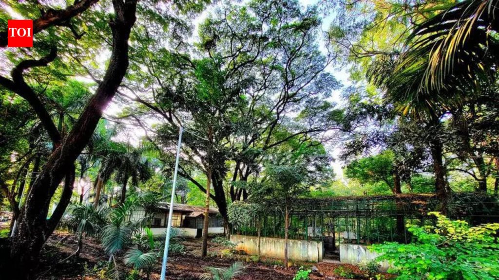 अमाडेने महसूल विभागाकडून आणखी कागदपत्रे मागितली आहेत, पुढील सुनावणी 3 मार्च रोजी