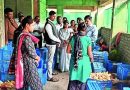 पुण्यातील पेरणे येथे महिलेचा स्वीट कॉर्नचा उपक्रम, ४५ जणांना रोजगार; स्वत: ची किंमत वाढवते
