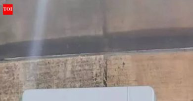 महावितरणने ग्राहकांना सणासुदीच्या अगोदर थकबाकी भरण्याचे आवाहन केले आहे