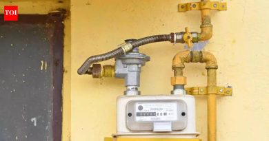 पीएमसी आणि पीसीएमसी भागात पाइप्ड गॅस आणि सीएनजी पुरवठ्यात कोणताही व्यत्यय नाही: MNGL