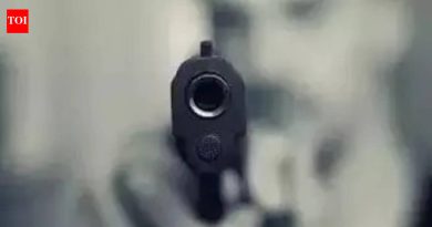 विचित्र गोळीबारानंतर बंदुकीच्या दुकानाचा परवाना रद्द करण्याचा प्रस्ताव पोलिस