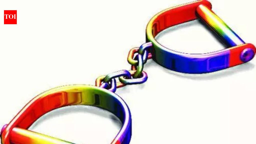 पबजवळ 2 लाख किमतीची सोनसाखळी लुटणाऱ्या तरुणाला अटक