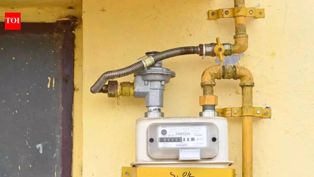 पुणे रहिवाशांनी पॅन केलेल्या PNG लाईनने सुसज्ज असल्यास LPG कनेक्शन सरेंडर करण्याबाबत केंद्राचा आदेश