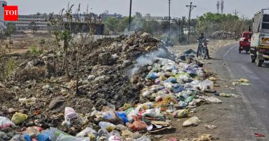 चाकण नगरपरिषदेने श्वान निवारा विस्तार, सामूहिक लसीकरण आणि महिलेच्या मृत्यूनंतर नसबंदीची योजना आखली आहे.