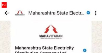 बिल भरण्यासाठी महावितरणने व्हॉट्सॲप चॅनल वापरला; ग्राहक संभाव्यता आणि जोखीम पाहतात