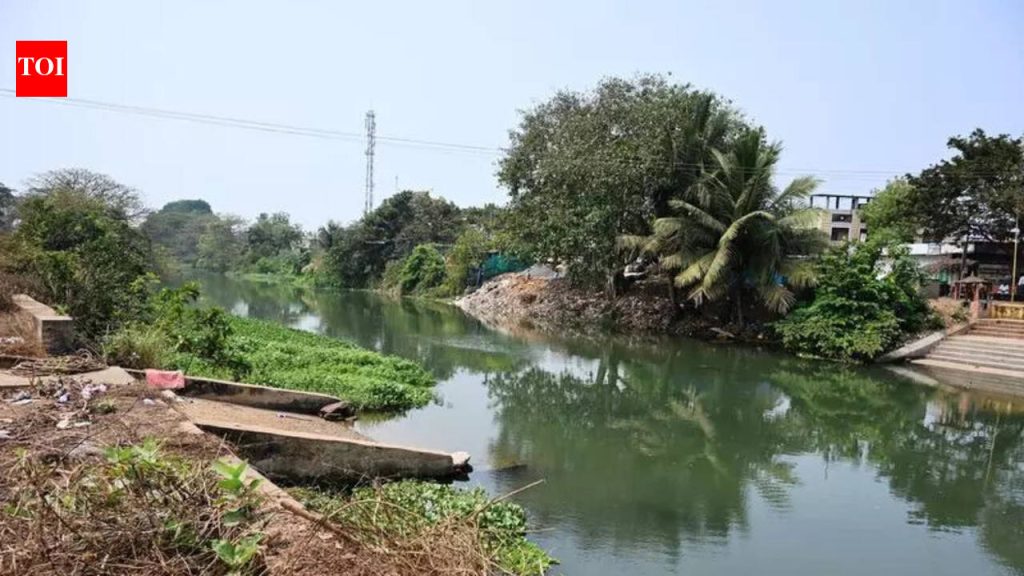 पीएमसी बेबी कॅनॉल परिसरातून पाण्याच्या लाईन आणि केबल्स हलवणार, प्रतिबंधात्मक जाळी बसवण्याची योजना