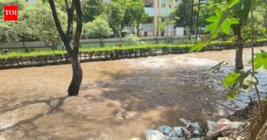 मुठा कालव्याच्या दुरुस्तीच्या कामाला ३-४ दिवस लागणार, महापौरांचे संयुक्त ऑडिटचे आदेश