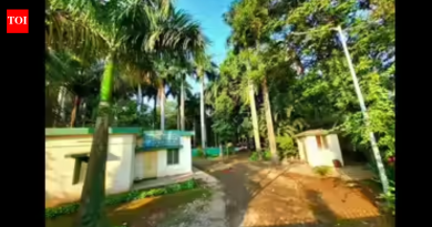 तलाठी व मंडळ अधिकारी यांनी फेरफार याचिका रोखली, – पाठपुरावा केला त्रुटी | पुणे बातम्या