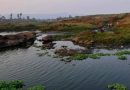 हिरण्यकेशी नदीला मोलॅसिसने प्रदूषित केल्याबद्दल एनजीटीने कोल्हापूर साखर कारखान्याला ५० लाख रुपये नुकसान भरपाई देण्यास सांगितले.