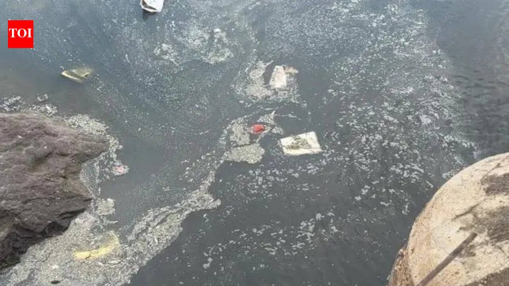 नीरा नदीतील मोठ्या प्रमाणात माशांच्या मृत्यूमागे औद्योगिक सांडपाण्याचा संशय; ग्रामस्थ MPCB च्या निष्क्रियतेला दोष देतात