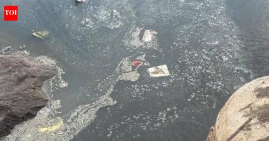 नीरा नदीतील मोठ्या प्रमाणात माशांच्या मृत्यूमागे औद्योगिक सांडपाण्याचा संशय; ग्रामस्थ MPCB च्या निष्क्रियतेला दोष देतात