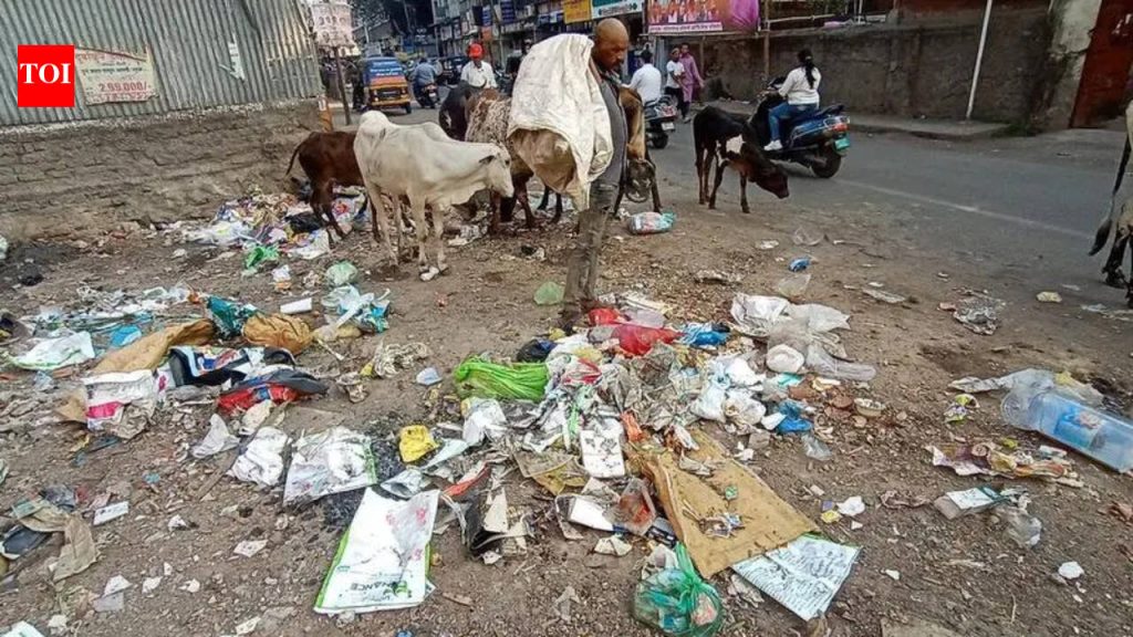 दैनंदिन कचऱ्याचे प्रमाण ८० टनांपर्यंत पोहोचल्याने पुणे कॅन्ट संघर्ष करत आहे