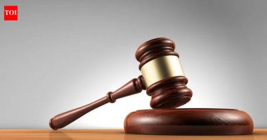 2019 मध्ये शासकीय कार्यालयात महसूल अधिकाऱ्यावर हल्ला केल्याप्रकरणी शेतकऱ्याला 2 वर्षांची शिक्षा; जामीन मंजूर केला