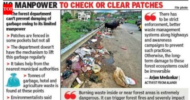 फॉरेस्ट पॅच डंपिंग ग्राउंड बनवतात, पर्यावरण आणि आगीची चिंता वाढवतात