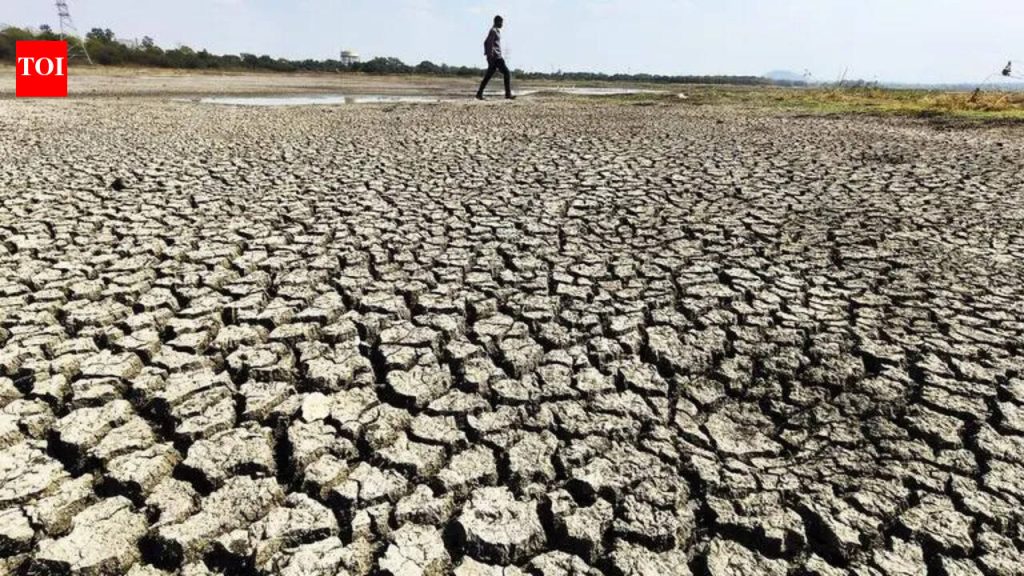 लातूरच्या शेतकऱ्याचा कोसळून मृत्यू, या उन्हाळ्यात राज्यातील आतापर्यंतचा चौथा संशयित उष्माघात