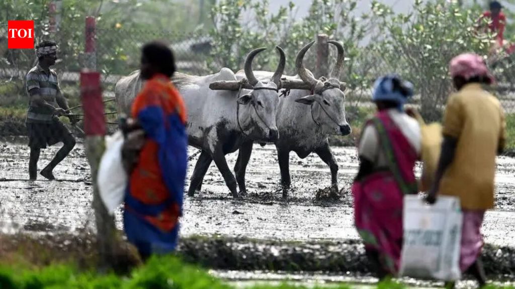 शेतकरी संघटनांची तात्काळ कर्जमाफीची मागणी, राज्याला ३० जूनच्या मुदतीची वाट पाहू नका
