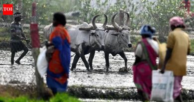 शेतकरी संघटनांची तात्काळ कर्जमाफीची मागणी, राज्याला ३० जूनच्या मुदतीची वाट पाहू नका