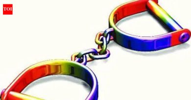 बंदुकीसह पकडलेल्या डिलिव्हरी मॅनकडून 8 पिस्तुले जप्त करण्यात आली
