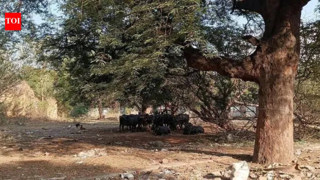पुणे आणि खडकी कॅन्टोन्मेंटमधील खुली संरक्षण जमीन कचरा डंपिंग ग्राउंड बनली आहे