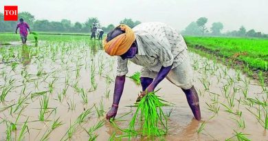पुण्याच्या आयआयटीएममध्ये एआय-चालित मान्सून अंदाज प्रणाली विकसित करण्यात आली असून, शेतकऱ्यांना चार आठवड्यांची मदत करण्याचे आश्वासन दिले आहे.