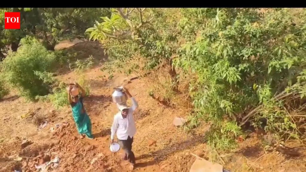 आदिवासी महिला धाडसी डोंगराच्या पायथ्याशी पाण्यात चालत पडण्याचा धोका पत्करतात