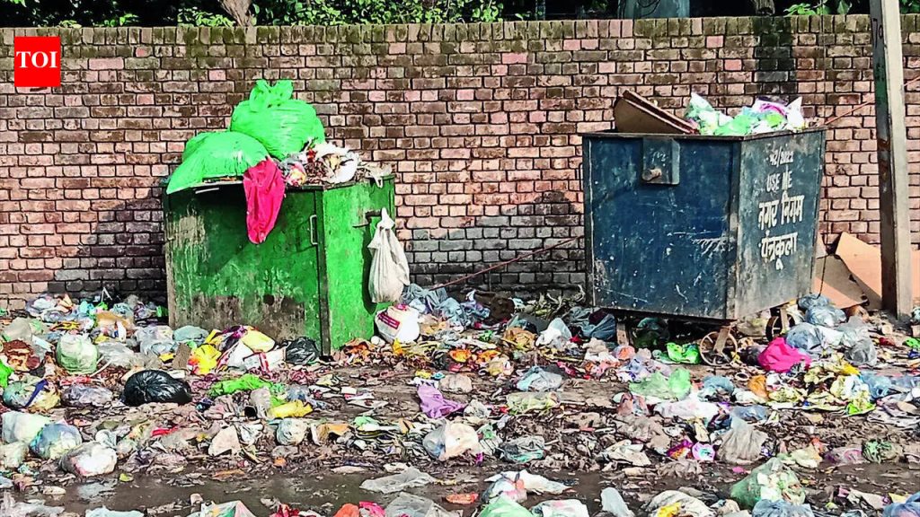 कचरा वेचक युनियनला PMC आरोग्य योजनेत नागरी कर्मचाऱ्यांचा समावेश हवा आहे | पुणे बातम्या