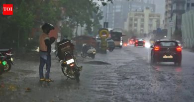 50 दिवसांच्या प्रतीक्षेनंतर पुण्यात विजांच्या कडकडाटासह पाऊस, चिंचवडमध्ये 60 मिमी पावसाची नोंद