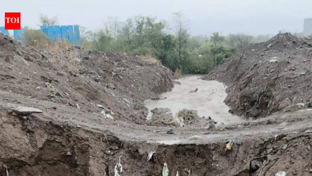 हिंजवडी पूर्व पावसाळ्याच्या कामांसाठी पीएमआरडीएच्या प्रमुखांनी ३१ मेची मुदत दिली, त्रुटी आढळल्यास कारवाईचा इशारा