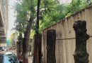 सामान्य चिंता पर्यावरणीय गटांना एका छत्राखाली आणतात