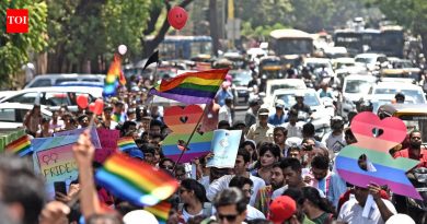 पुण्याचा अभिमान: प्रतीकात्मकतेच्या पलीकडे LGBTQIA+ स्वीकृतीसाठी वाढणारी चळवळ प्रतिबिंबित करण्यासाठी या शनिवार व रविवार ट्विन मार्च