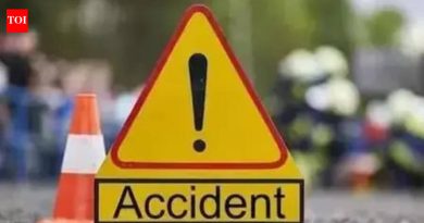 वाडेबोल्हाई रोड अपघातात 14 वर्षीय मुलीचा मृत्यू | पुणे बातम्या वाडेबोल्हाई रोड अपघातात 14 वर्षीय मुलीचा मृत्यू | पुणे बातम्या