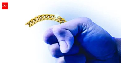 आळंदीजवळ जमीन विकासकाची ४ लाख रुपयांची सोनसाखळी लुटली | पुणे बातम्या आळंदीजवळ जमीन विकासकाची ४ लाख रुपयांची सोनसाखळी लुटली | पुणे बातम्या