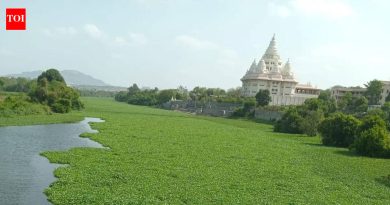 आषाढी वारीपूर्वी देहूजवळील इंद्रायणी नदीत मृत मासे आढळल्याने प्रदूषणाची चिंता वाढली आहे.