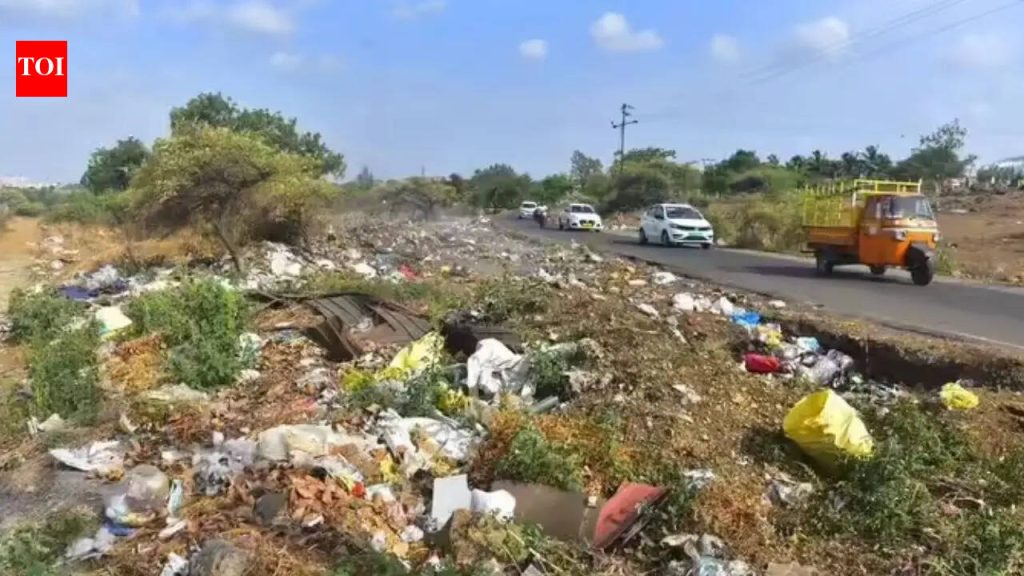एक पक्षी आपत्ती दूर स्ट्राइक? पुणे एअर स्टेशनवरील कचऱ्यामुळे विमान वाहतूक सुरक्षेबाबत भीती निर्माण झाली आहे