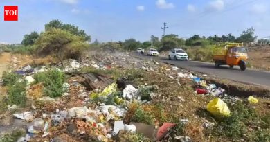 एक पक्षी आपत्ती दूर स्ट्राइक? पुणे एअर स्टेशनवरील कचऱ्यामुळे विमान वाहतूक सुरक्षेबाबत भीती निर्माण झाली आहे