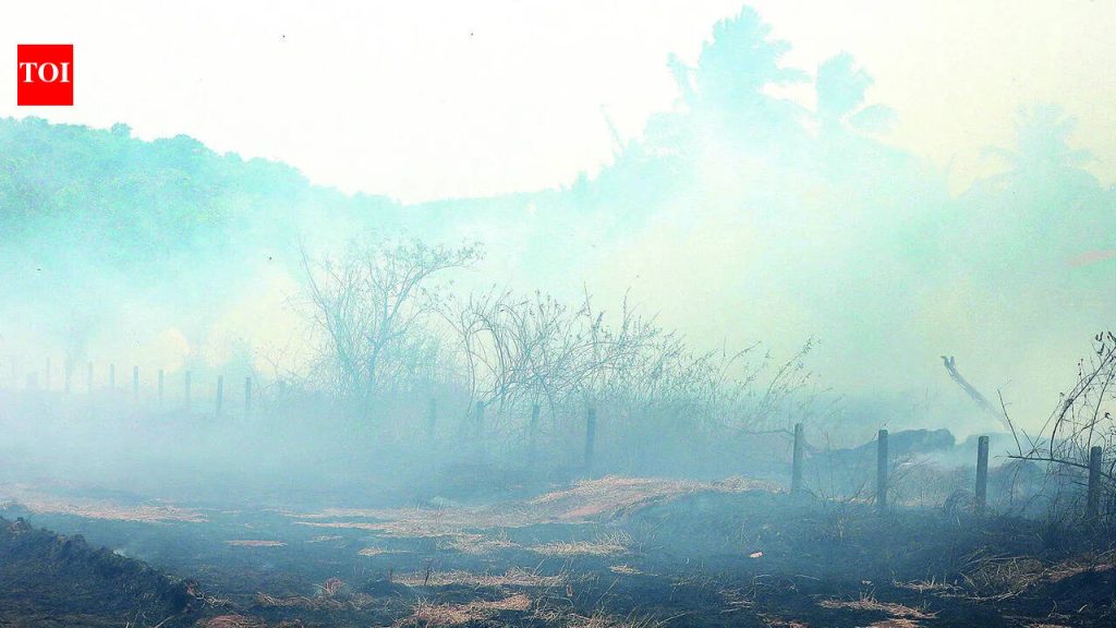 देहू रोड येथील आयुध निर्माणीच्या प्रूफ रेंजमध्ये दारूगोळा चाचणीत आग लागली | पुणे बातम्या
