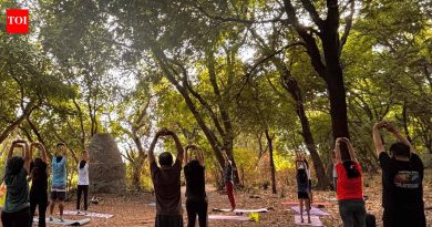 आंतरराष्ट्रीय योग दिनाच्या सत्राचे उद्दिष्ट शहरातील रहिवाशांना पुण्यातील नद्यांच्या नैसर्गिक सौंदर्याशी पुन्हा जोडण्याचे आहे.