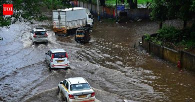 पुण्यात दोन दिवसांच्या मुसळधार पावसाने अनेक भागात पाणी साचले