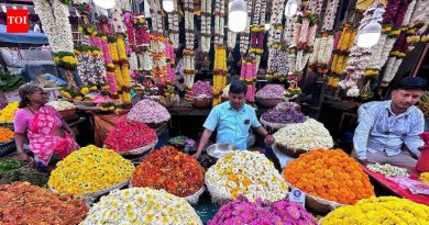 फुलांच्या तुटवड्यामुळे पालखी सजावटीचा खर्च जवळपास 30,000 रुपयांनी वाढला | पुणे बातम्या