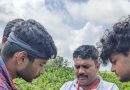 अनेक दशकांपासून चुकलेल्या, पुण्याच्या सुस टेकडीवरील लहान फुलांच्या रोपाची अखेर नवीन प्रजाती म्हणून ओळख | पुणे बातम्या अनेक दशकांपासून चुकलेल्या, पुण्याच्या सुस टेकडीवरील लहान फुलांच्या रोपाची अखेर नवीन प्रजाती म्हणून ओळख | पुणे बातम्या