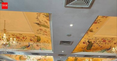 क्युरेटेड लाइफस्टाइल प्रदर्शनांनी या पावसाळ्यात पुणे व्यापले आहे | पुणे बातम्या