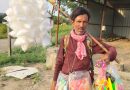 गुलाबी रंगाचे बुड्डी चे बाल झाले पांढरे